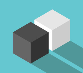 Isometric couple of cubes