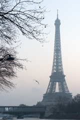 Eiffel tower early morning in the haze - Paris, France