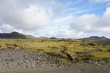 Fototapeta na wymiar Golden Circle - Landschaft im Süd-Westen Islands