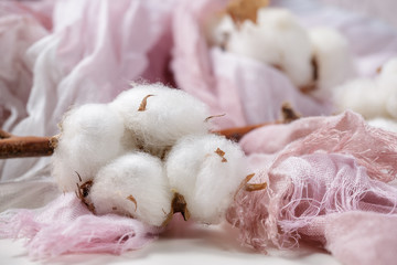 Cotton plant flower branch on purple cloth