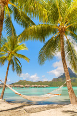 Fototapeta na wymiar Empty hammock between palm trees on tropical beach of Bora Bora island