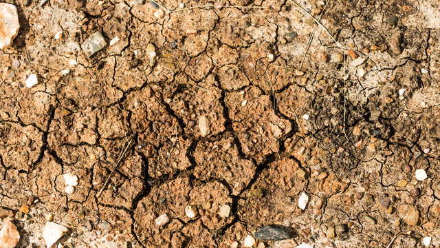 Cracked Dry Earth