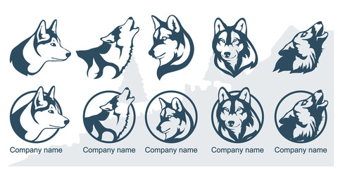 Obraz premium Wolf logo