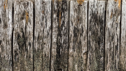 The fence of the old wooden boards