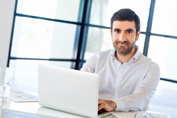 Handsome businessman working at computer