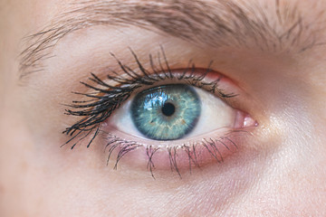 Image of a blue human eye