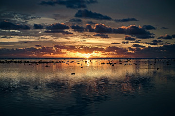 Fototapeta premium Rarotonga Sunset