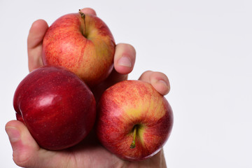 Apples isolated on white background. Apples in bright juicy color