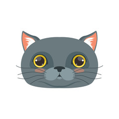 Cute british cat head, funny cartoon animal character vector illustration