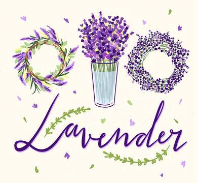 Lavender flowers and bouquets hand drawn illustrations. Lavender plants Provence french style