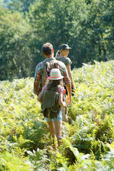 Back view of family walking in forest track