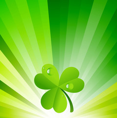 Clover Leaf Sunburst Background