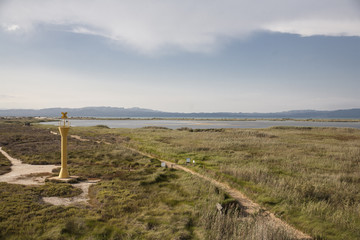 Fototapeta na wymiar Delta del Ebro