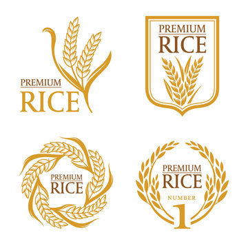 Orange brown paddy rice premium organic natural product banner logo vector design