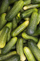 Cucumbers
