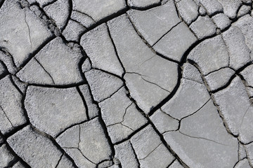 Cracks of the dried soil 