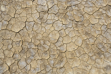Cracks of the dried soil 