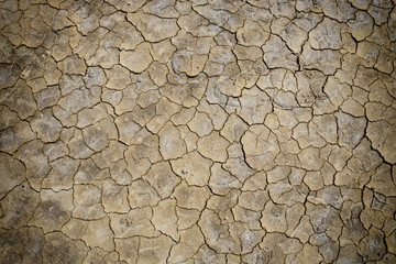 Cracks of the dried soil  with vignette effect