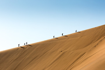 Fototapeta na wymiar Desert sand dunes and landscape, Namib, Namibia, Africa