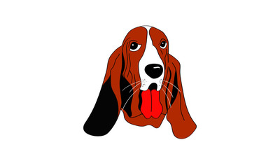 basset dog