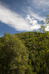 Fototapeta na wymiar Bosques de los Pirineos