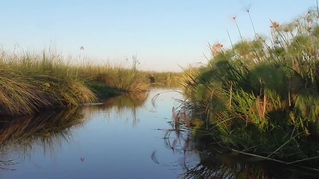 sailing through the channels of the okavango delta in botswana