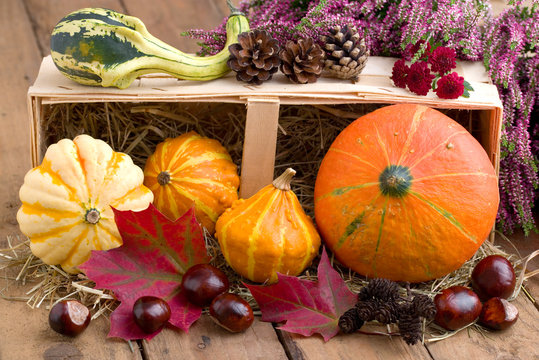 Farbenfrohe Herbstdekoration mit K&uuml;rbissen