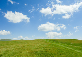 Obraz premium green field with blue sky and clouds
