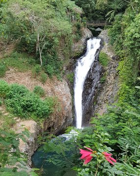 Gitgit Wasserfall auf Bali
