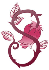 Fototapeta premium curl rose flowers tattoo
