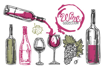Hand drawn doodle wine collection. Grape and cheese