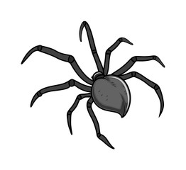 Spider  - clip-art vector illustration