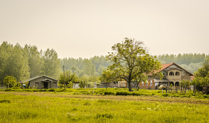 Fototapeta premium lonely farm 