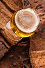 Light beer on bark