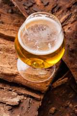 Light beer on bark