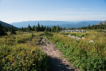 Fototapeta na wymiar Mountain landscape in the vicinity of Mount Iremel.