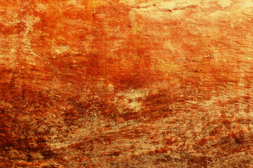  Eucalyptus tree bark texture.  Bright, natural background.