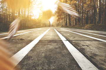 autumn road background 