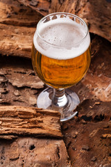 Light beer on bark