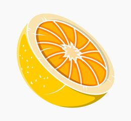 Fototapeta premium Half Lemon Vector