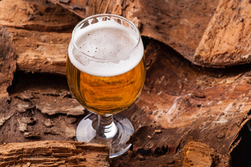 Light beer on bark