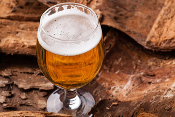 Light beer on bark
