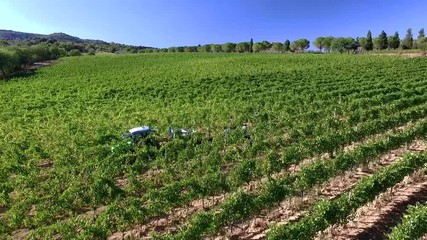Vendemmia aerea