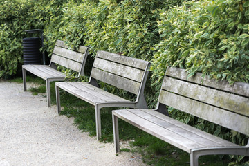 benches in the city park by the green hedge.