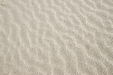 Obraz na płótnie Canvas 砂浜の風紋