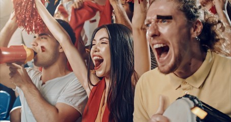 Fans cheering for sports team
