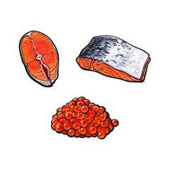 vector sketch sea salmon fish meat fillet steak with, without skin from top and side view and caviar set. Isolated illustration on a white background. Seafood delicacy, restaurant menu decoration