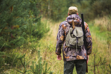 Hunter with a backpack and a hunting gun in the autumn forest. The man is on the hunt. Back view.