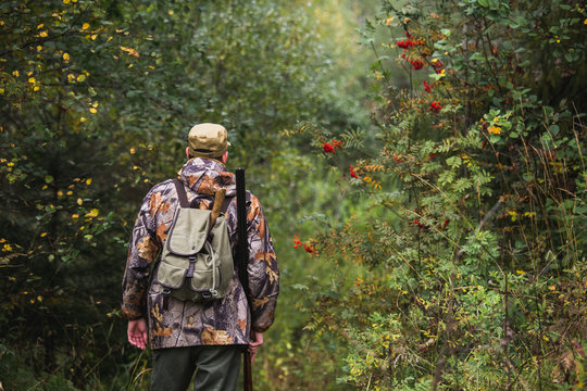 Hunter with a backpack and a hunting gun in the autumn forest. The man is on the hunt. Back view.