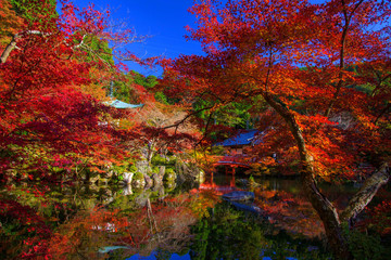 Obraz premium Daigo-ji red shrine landmark in Autumn, Kyoto